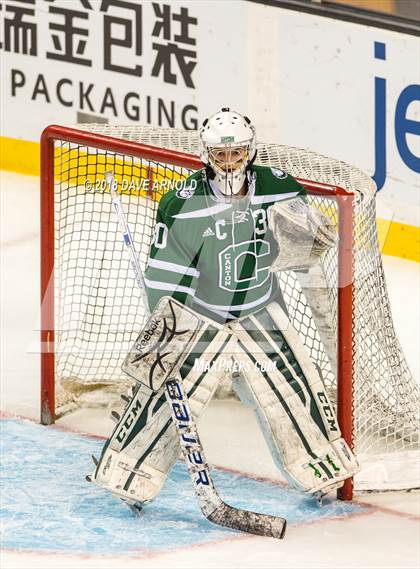 Thumbnail 1 in Canton vs. Wellesley (MIAA Division 2 Final) photogallery.