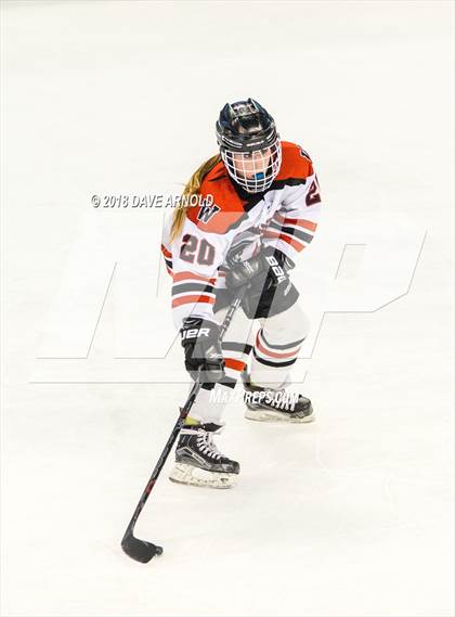 Thumbnail 2 in Canton vs. Wellesley (MIAA Division 2 Final) photogallery.