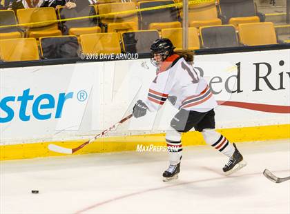 Thumbnail 1 in Canton vs. Wellesley (MIAA Division 2 Final) photogallery.