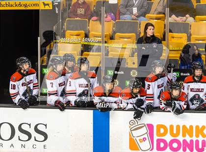 Thumbnail 3 in Canton vs. Wellesley (MIAA Division 2 Final) photogallery.