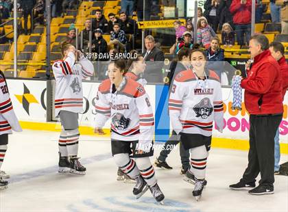 Thumbnail 1 in Canton vs. Wellesley (MIAA Division 2 Final) photogallery.
