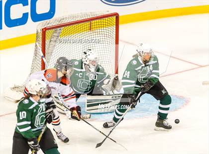 Thumbnail 2 in Canton vs. Wellesley (MIAA Division 2 Final) photogallery.