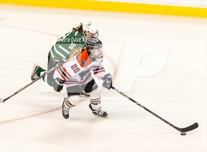 Thumbnail 2 in Canton vs. Wellesley (MIAA Division 2 Final) photogallery.
