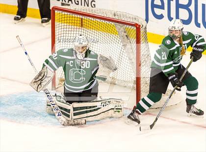 Thumbnail 1 in Canton vs. Wellesley (MIAA Division 2 Final) photogallery.