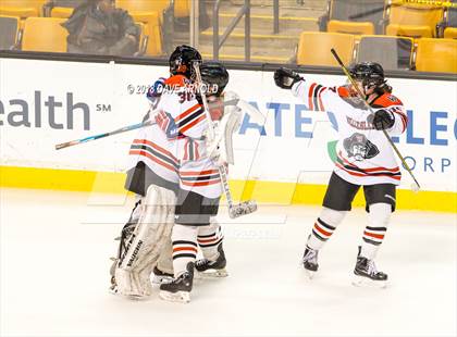 Thumbnail 3 in Canton vs. Wellesley (MIAA Division 2 Final) photogallery.