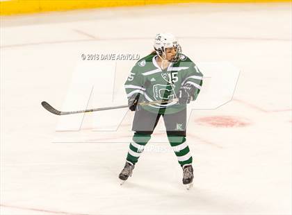 Thumbnail 2 in Canton vs. Wellesley (MIAA Division 2 Final) photogallery.