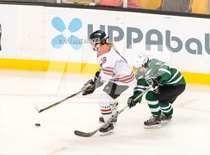 Thumbnail 2 in Canton vs. Wellesley (MIAA Division 2 Final) photogallery.