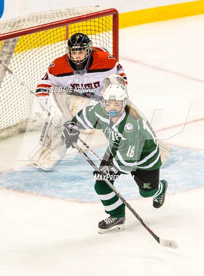 Thumbnail 2 in Canton vs. Wellesley (MIAA Division 2 Final) photogallery.