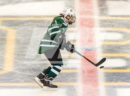 Thumbnail 2 in Canton vs. Wellesley (MIAA Division 2 Final) photogallery.
