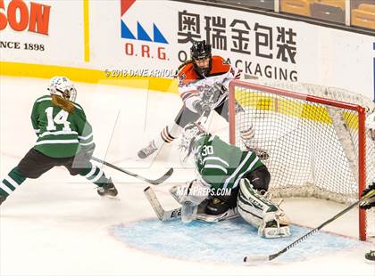 Thumbnail 3 in Canton vs. Wellesley (MIAA Division 2 Final) photogallery.