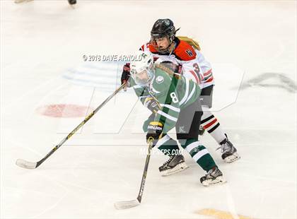 Thumbnail 1 in Canton vs. Wellesley (MIAA Division 2 Final) photogallery.