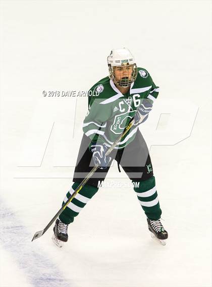 Thumbnail 2 in Canton vs. Wellesley (MIAA Division 2 Final) photogallery.