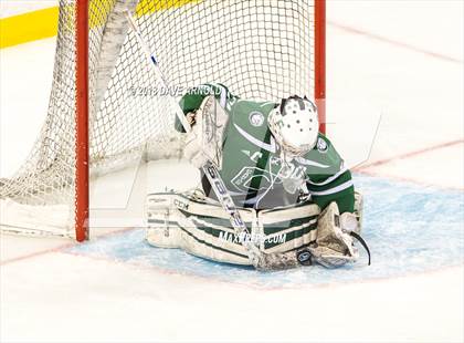 Thumbnail 1 in Canton vs. Wellesley (MIAA Division 2 Final) photogallery.