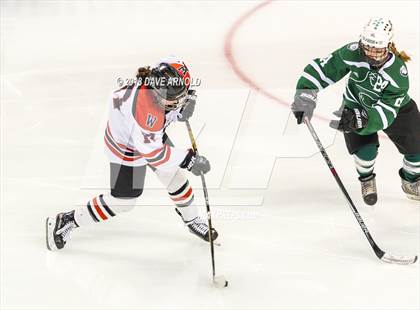 Thumbnail 1 in Canton vs. Wellesley (MIAA Division 2 Final) photogallery.
