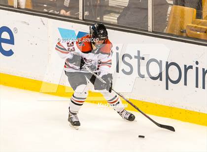 Thumbnail 3 in Canton vs. Wellesley (MIAA Division 2 Final) photogallery.