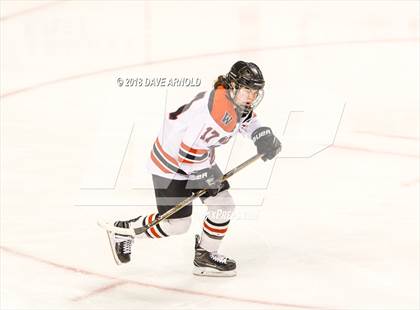 Thumbnail 3 in Canton vs. Wellesley (MIAA Division 2 Final) photogallery.