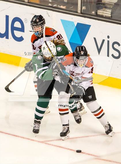 Thumbnail 1 in Canton vs. Wellesley (MIAA Division 2 Final) photogallery.