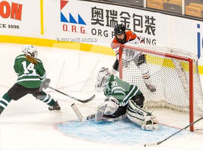 Thumbnail 2 in Canton vs. Wellesley (MIAA Division 2 Final) photogallery.