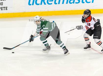 Thumbnail 2 in Canton vs. Wellesley (MIAA Division 2 Final) photogallery.
