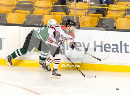 Thumbnail 2 in Canton vs. Wellesley (MIAA Division 2 Final) photogallery.
