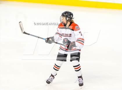 Thumbnail 1 in Canton vs. Wellesley (MIAA Division 2 Final) photogallery.