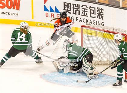 Thumbnail 1 in Canton vs. Wellesley (MIAA Division 2 Final) photogallery.