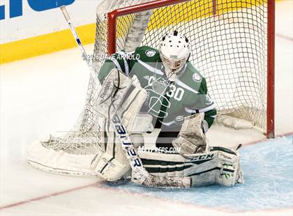 Thumbnail 3 in Canton vs. Wellesley (MIAA Division 2 Final) photogallery.
