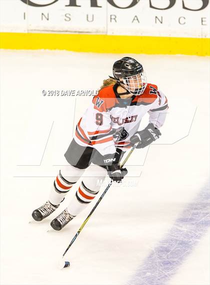 Thumbnail 3 in Canton vs. Wellesley (MIAA Division 2 Final) photogallery.