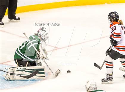 Thumbnail 2 in Canton vs. Wellesley (MIAA Division 2 Final) photogallery.