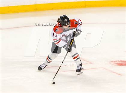 Thumbnail 1 in Canton vs. Wellesley (MIAA Division 2 Final) photogallery.