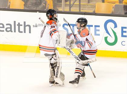 Thumbnail 1 in Canton vs. Wellesley (MIAA Division 2 Final) photogallery.