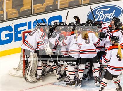 Thumbnail 1 in Canton vs. Wellesley (MIAA Division 2 Final) photogallery.