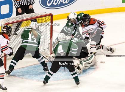 Thumbnail 3 in Canton vs. Wellesley (MIAA Division 2 Final) photogallery.