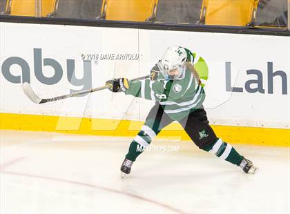Thumbnail 3 in Canton vs. Wellesley (MIAA Division 2 Final) photogallery.