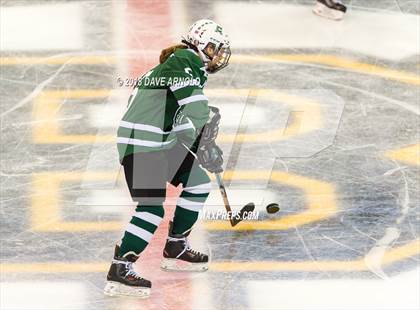 Thumbnail 3 in Canton vs. Wellesley (MIAA Division 2 Final) photogallery.