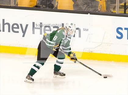 Thumbnail 1 in Canton vs. Wellesley (MIAA Division 2 Final) photogallery.