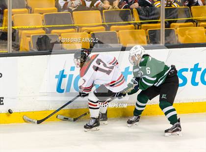 Thumbnail 2 in Canton vs. Wellesley (MIAA Division 2 Final) photogallery.