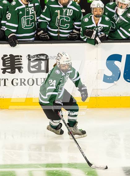 Thumbnail 2 in Canton vs. Wellesley (MIAA Division 2 Final) photogallery.
