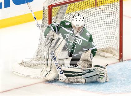 Thumbnail 2 in Canton vs. Wellesley (MIAA Division 2 Final) photogallery.