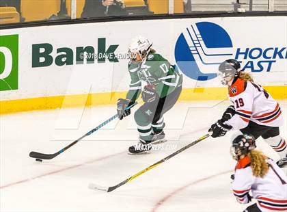 Thumbnail 3 in Canton vs. Wellesley (MIAA Division 2 Final) photogallery.