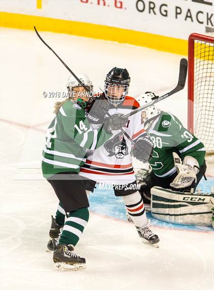 Thumbnail 2 in Canton vs. Wellesley (MIAA Division 2 Final) photogallery.