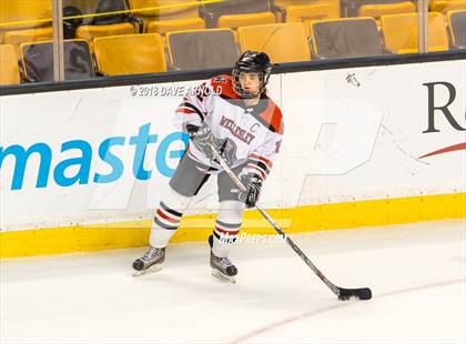 Thumbnail 1 in Canton vs. Wellesley (MIAA Division 2 Final) photogallery.
