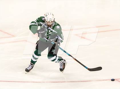 Thumbnail 1 in Canton vs. Wellesley (MIAA Division 2 Final) photogallery.