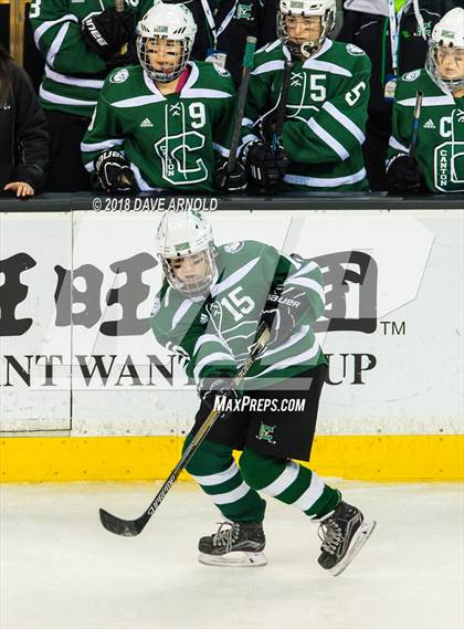 Thumbnail 1 in Canton vs. Wellesley (MIAA Division 2 Final) photogallery.