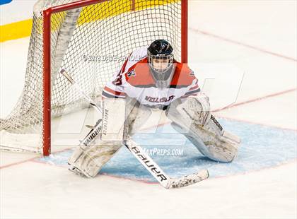 Thumbnail 3 in Canton vs. Wellesley (MIAA Division 2 Final) photogallery.