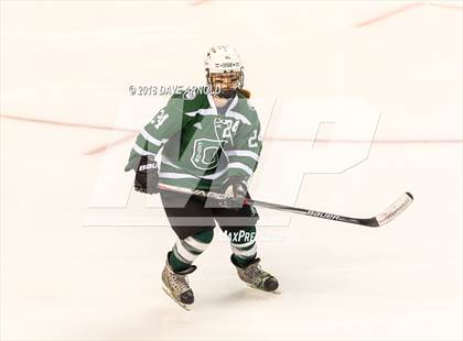 Thumbnail 1 in Canton vs. Wellesley (MIAA Division 2 Final) photogallery.