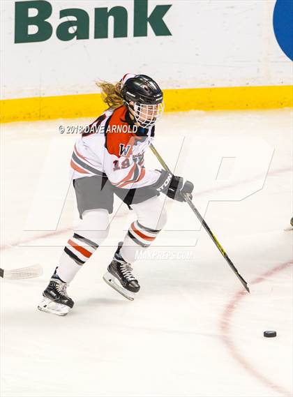Thumbnail 1 in Canton vs. Wellesley (MIAA Division 2 Final) photogallery.