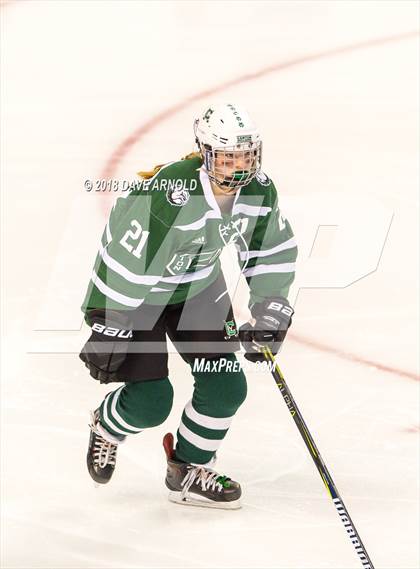 Thumbnail 2 in Canton vs. Wellesley (MIAA Division 2 Final) photogallery.