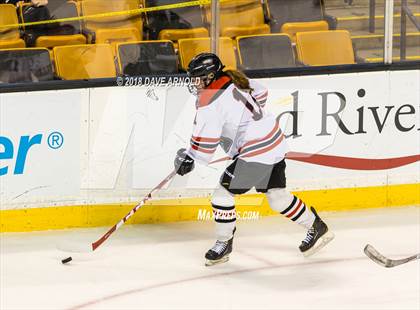 Thumbnail 3 in Canton vs. Wellesley (MIAA Division 2 Final) photogallery.