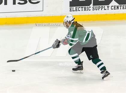 Thumbnail 3 in Canton vs. Wellesley (MIAA Division 2 Final) photogallery.